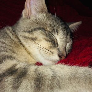 Meet your Posher, Vivien